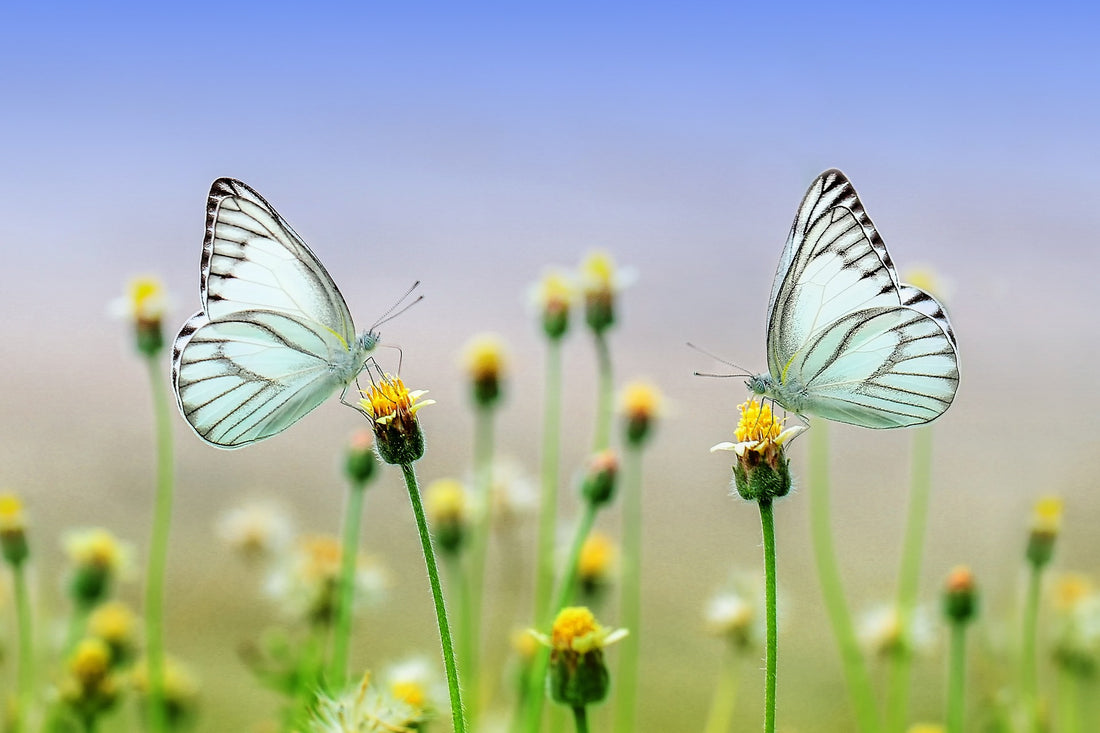 Nurtured by Nature