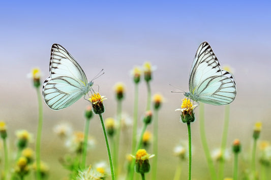 Nurtured by Nature