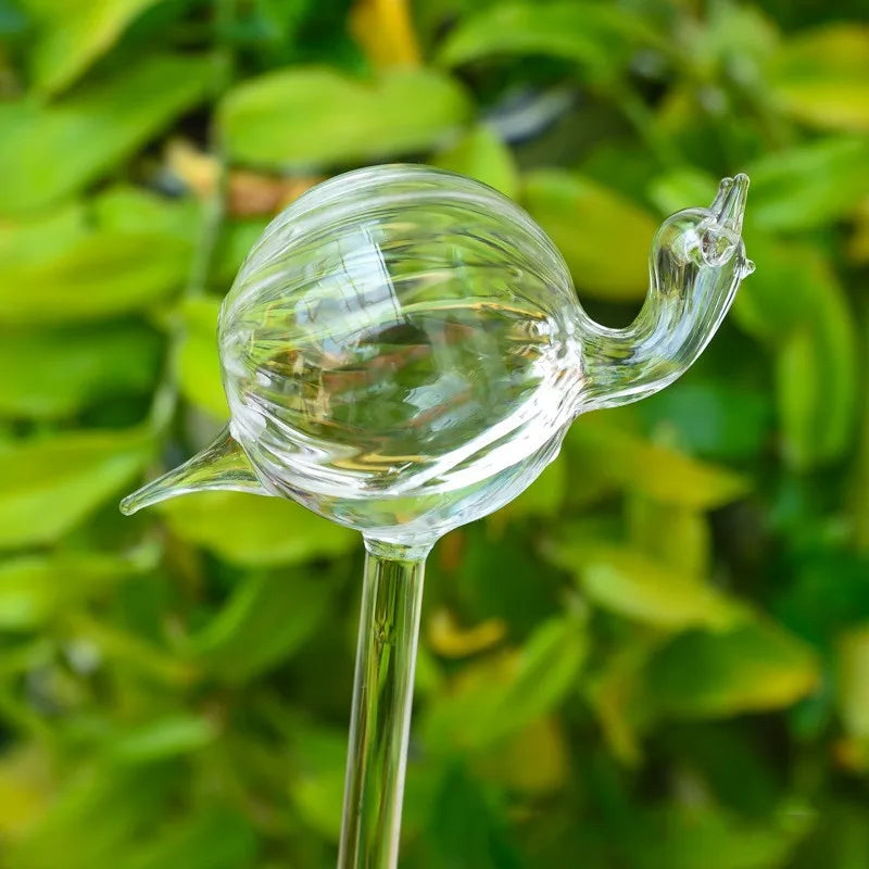 Auto Plant Water Feeder - Lifestyle Bravo