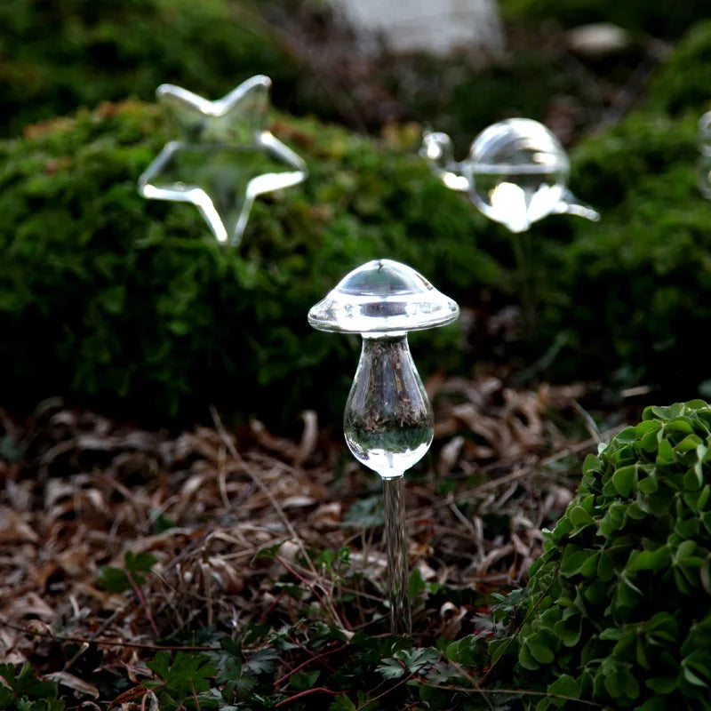 Auto Plant Water Feeder - Lifestyle Bravo