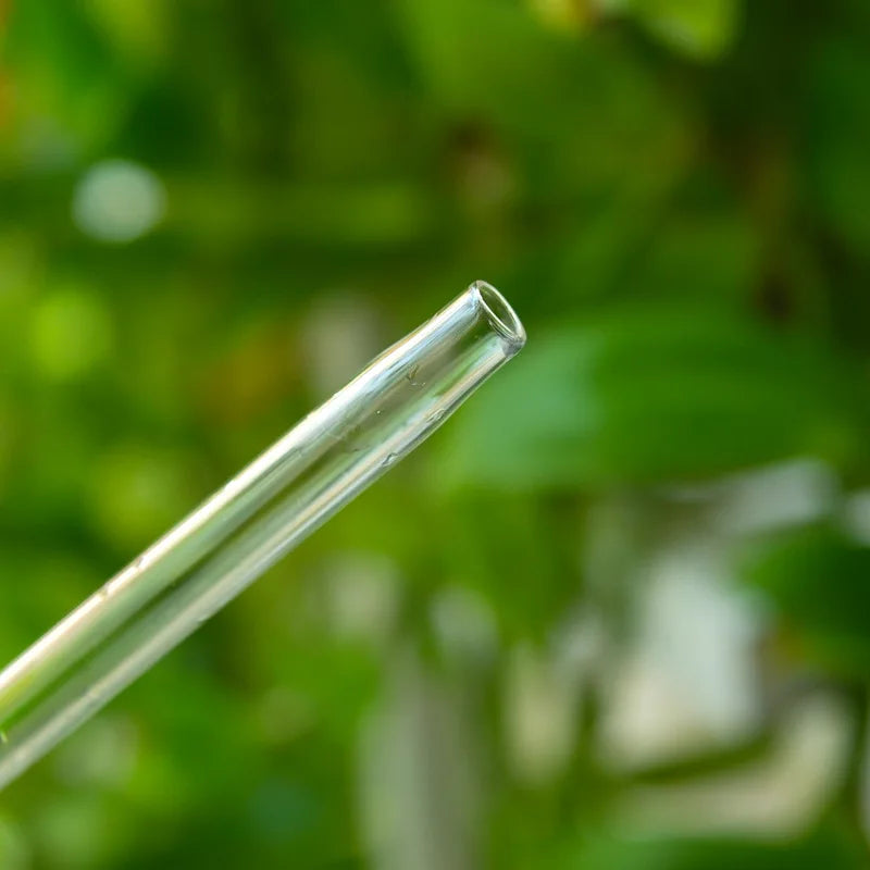 Auto Plant Water Feeder - Lifestyle Bravo