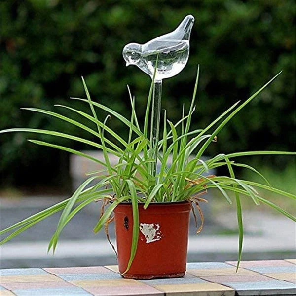 Auto Plant Water Feeder - Lifestyle Bravo