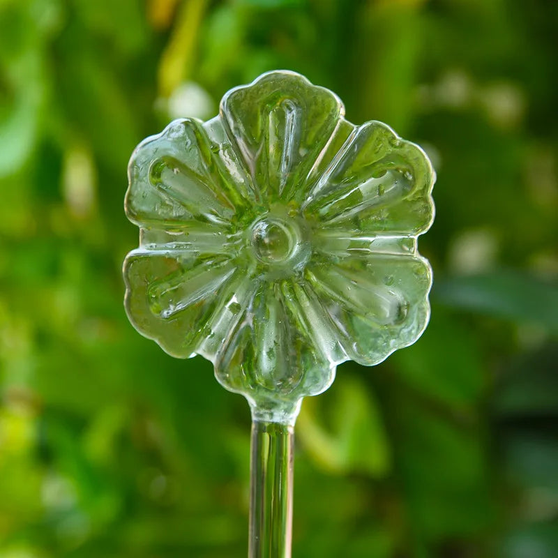 Auto Plant Water Feeder - Lifestyle Bravo