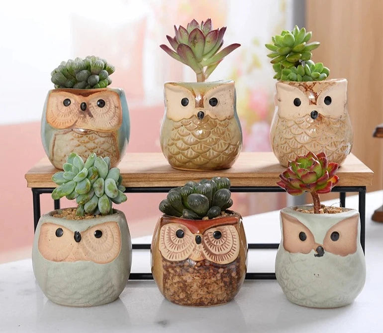 Mini Owl & Bird Ceramic Planters - Lifestyle Bravo