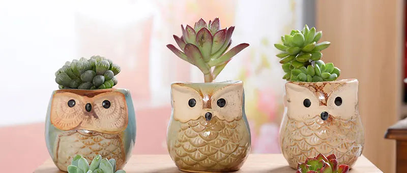Mini Owl & Bird Ceramic Planters - Lifestyle Bravo