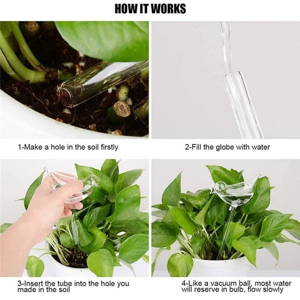 Auto Plant Water Feeder - Lifestyle Bravo