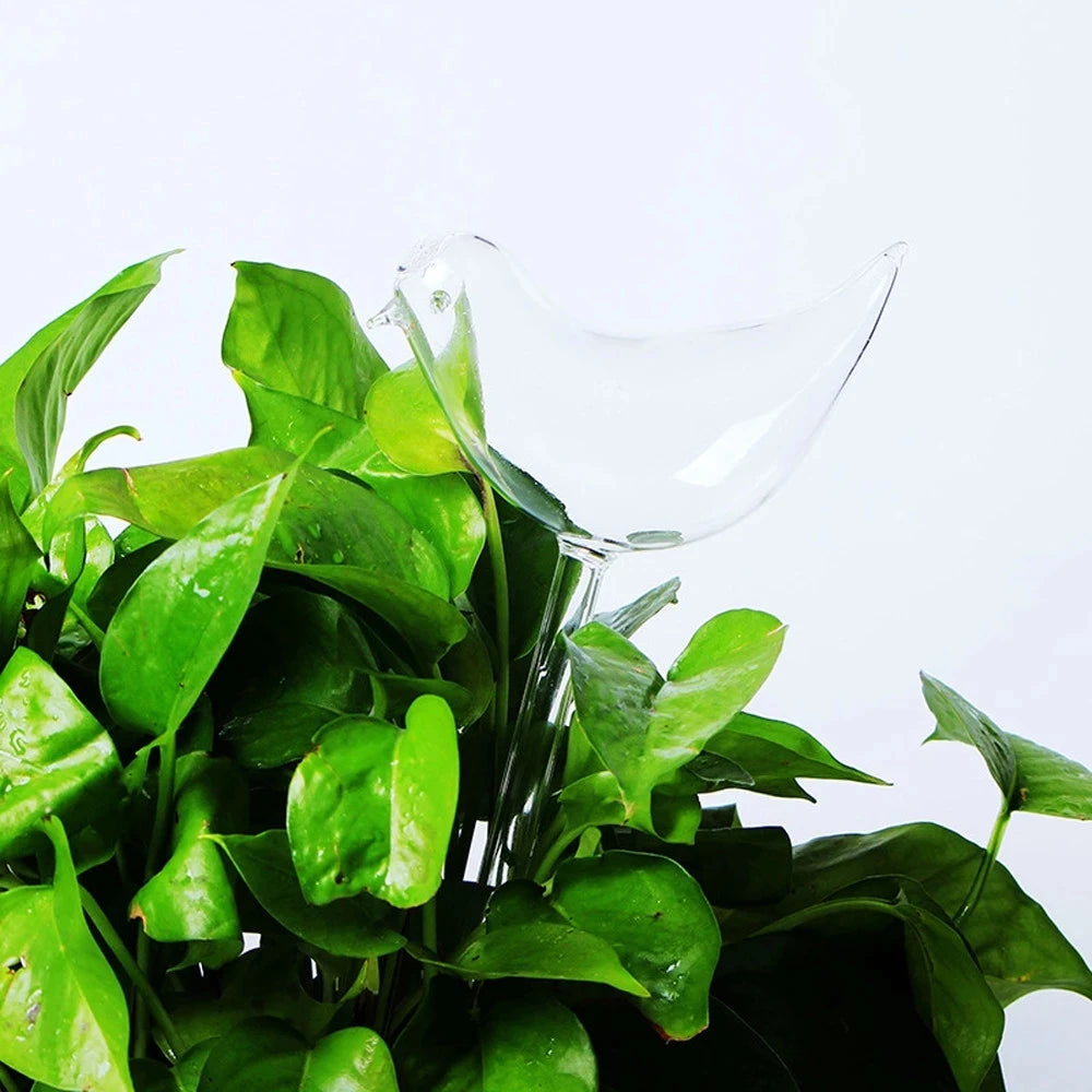 Auto Plant Water Feeder - Lifestyle Bravo
