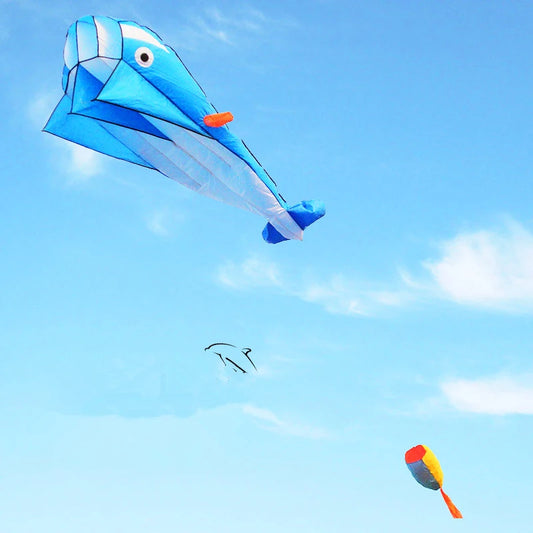 Dolphin Kites - Lifestyle Bravo