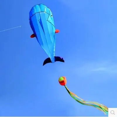 Dolphin Kites - Lifestyle Bravo