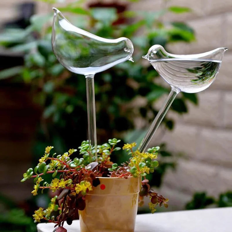 Auto Plant Water Feeder - Lifestyle Bravo