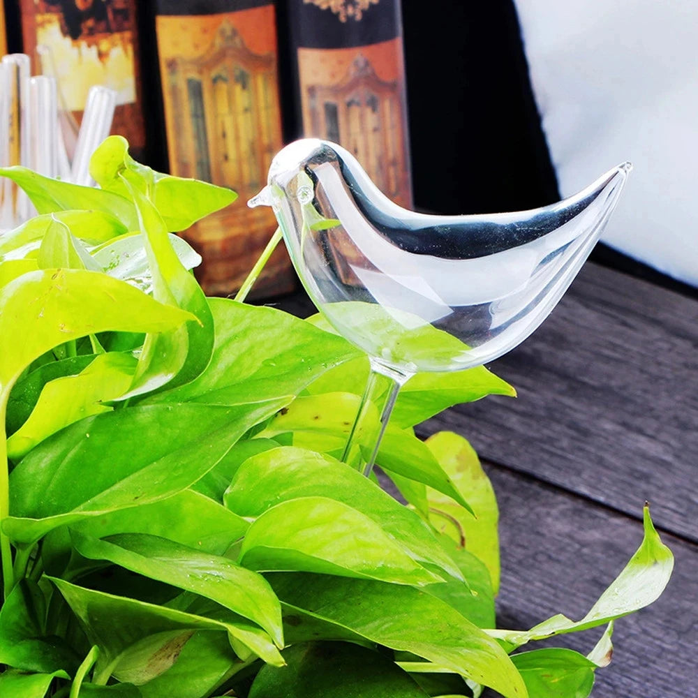 Auto Plant Water Feeder - Lifestyle Bravo
