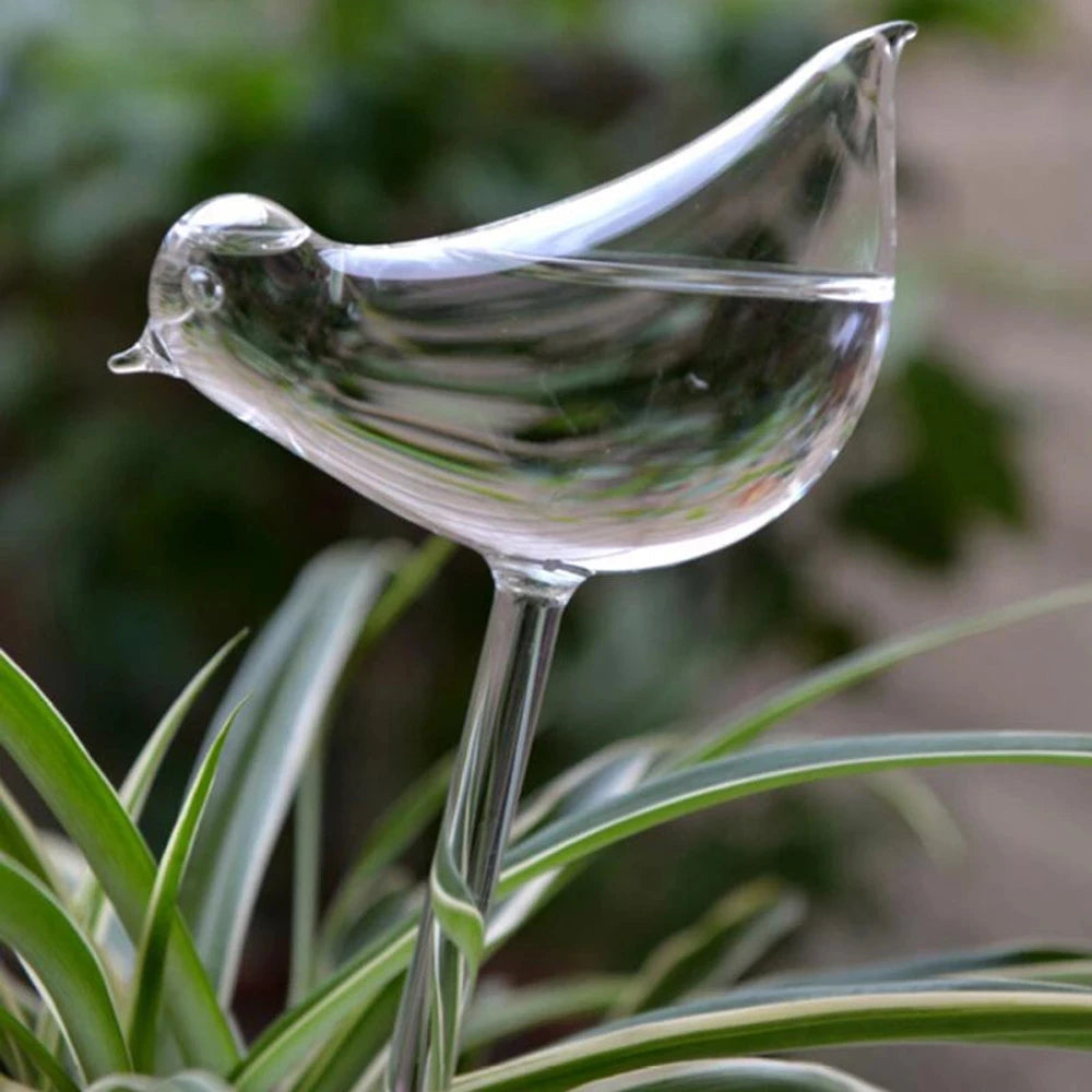 Auto Plant Water Feeder - Lifestyle Bravo