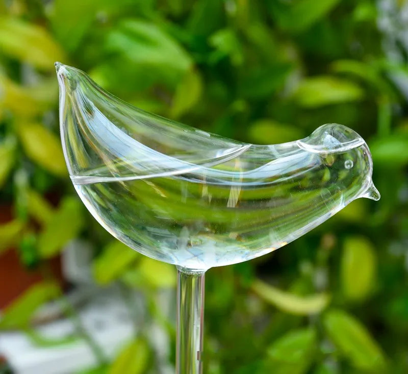 Auto Plant Water Feeder - Lifestyle Bravo