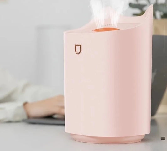 Diffuser Air Purifier - Lifestyle Bravo