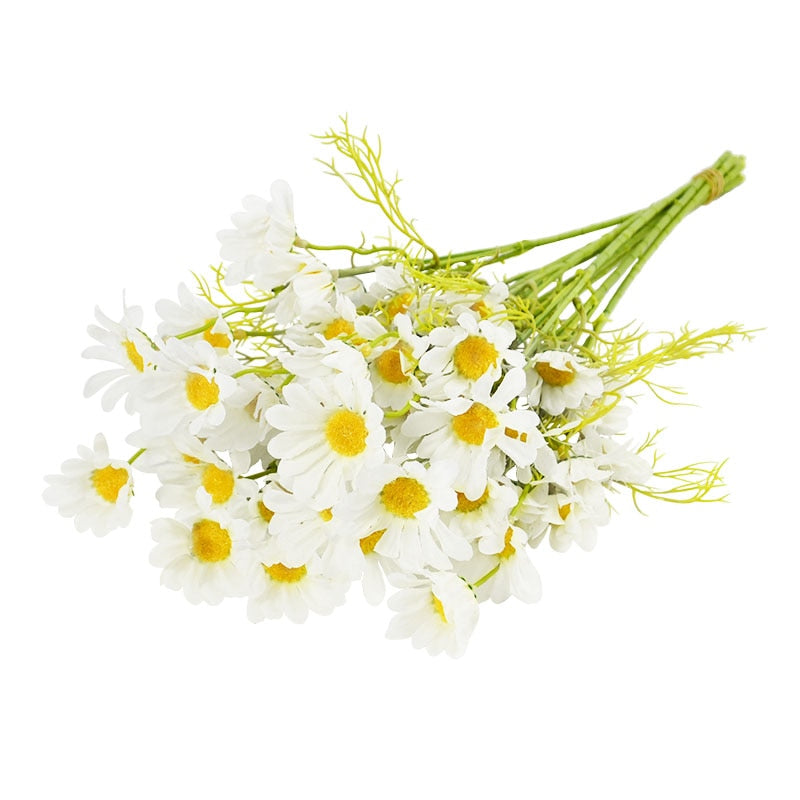 White Daisy Set - Lifestyle Bravo
