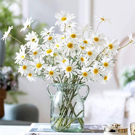 White Daisy Set - Lifestyle Bravo