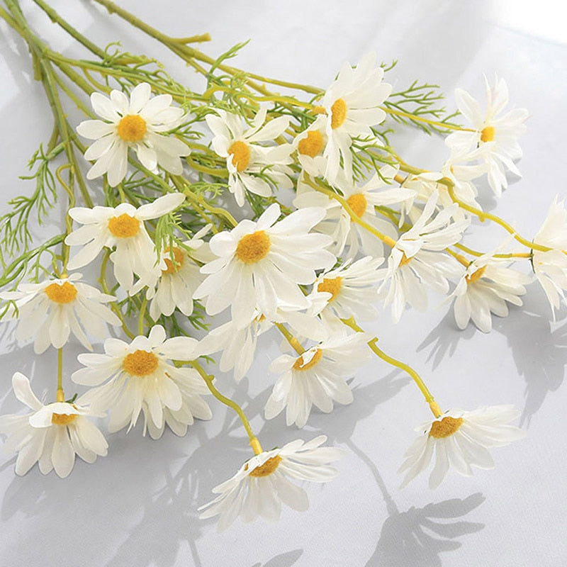 White Daisy Set - Lifestyle Bravo