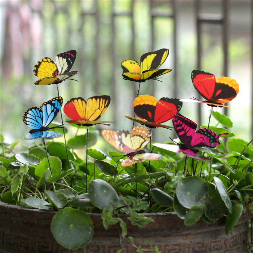 Garden Butterflies - Lifestyle Bravo