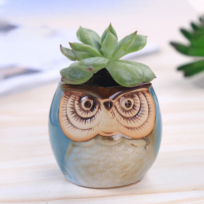 Mini Owl & Bird Ceramic Planters - Lifestyle Bravo