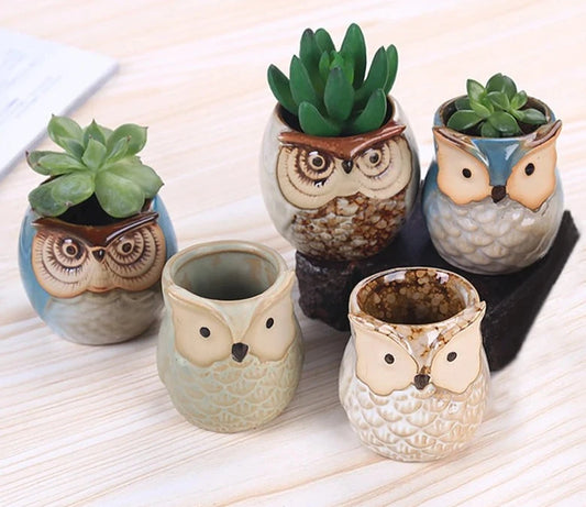 Mini Owl & Bird Ceramic Planters - Lifestyle Bravo