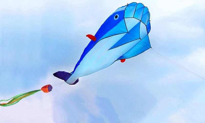 Dolphin Kites - Lifestyle Bravo