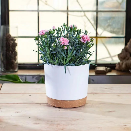 Outdoor Flower Pot - Lifestyle Bravo