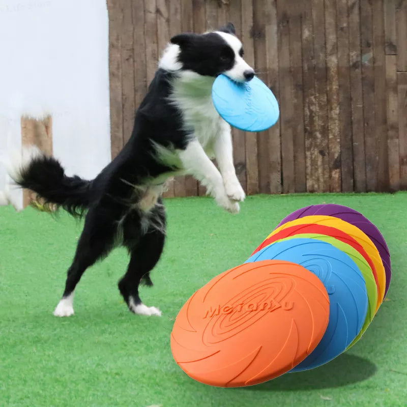 Ultimate Frisbee - Lifestyle Bravo