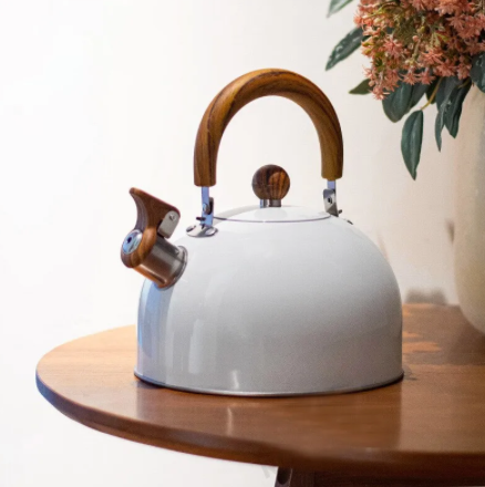 Whistling Steel Tea Kettle - Lifestyle Bravo